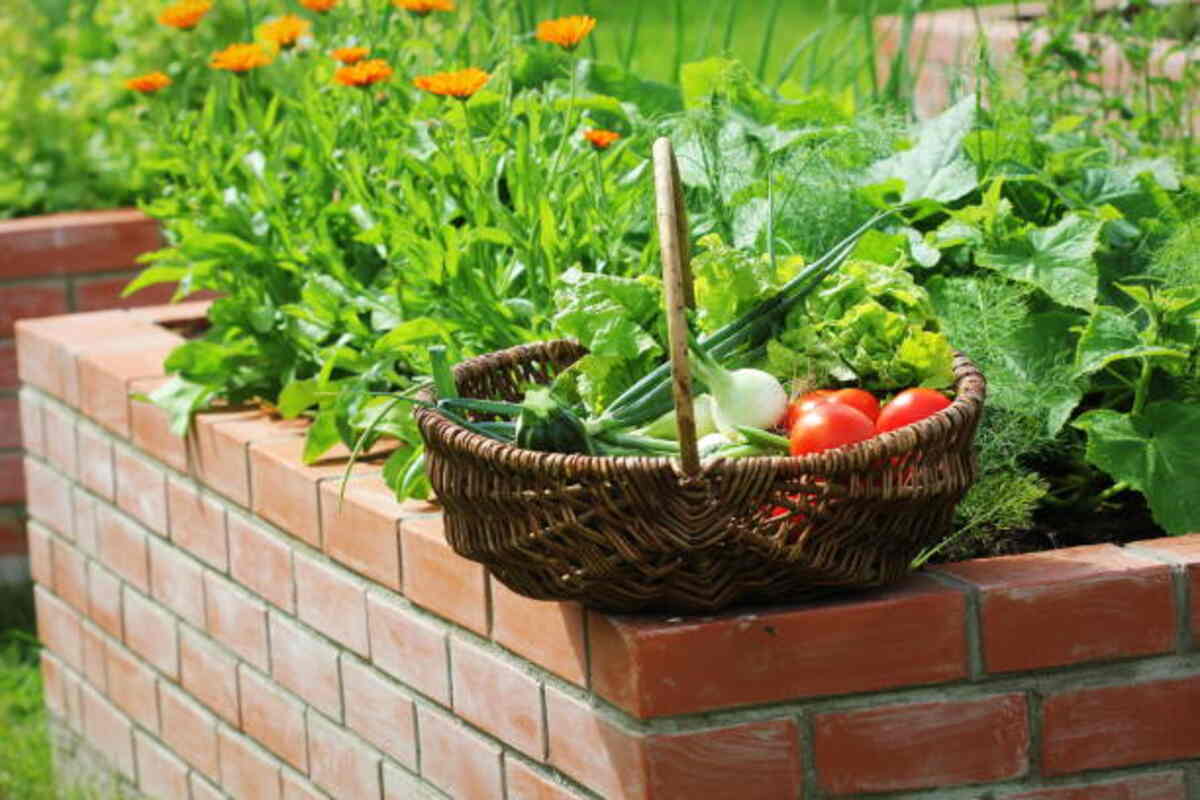 Transform Your Yard Into a Garden