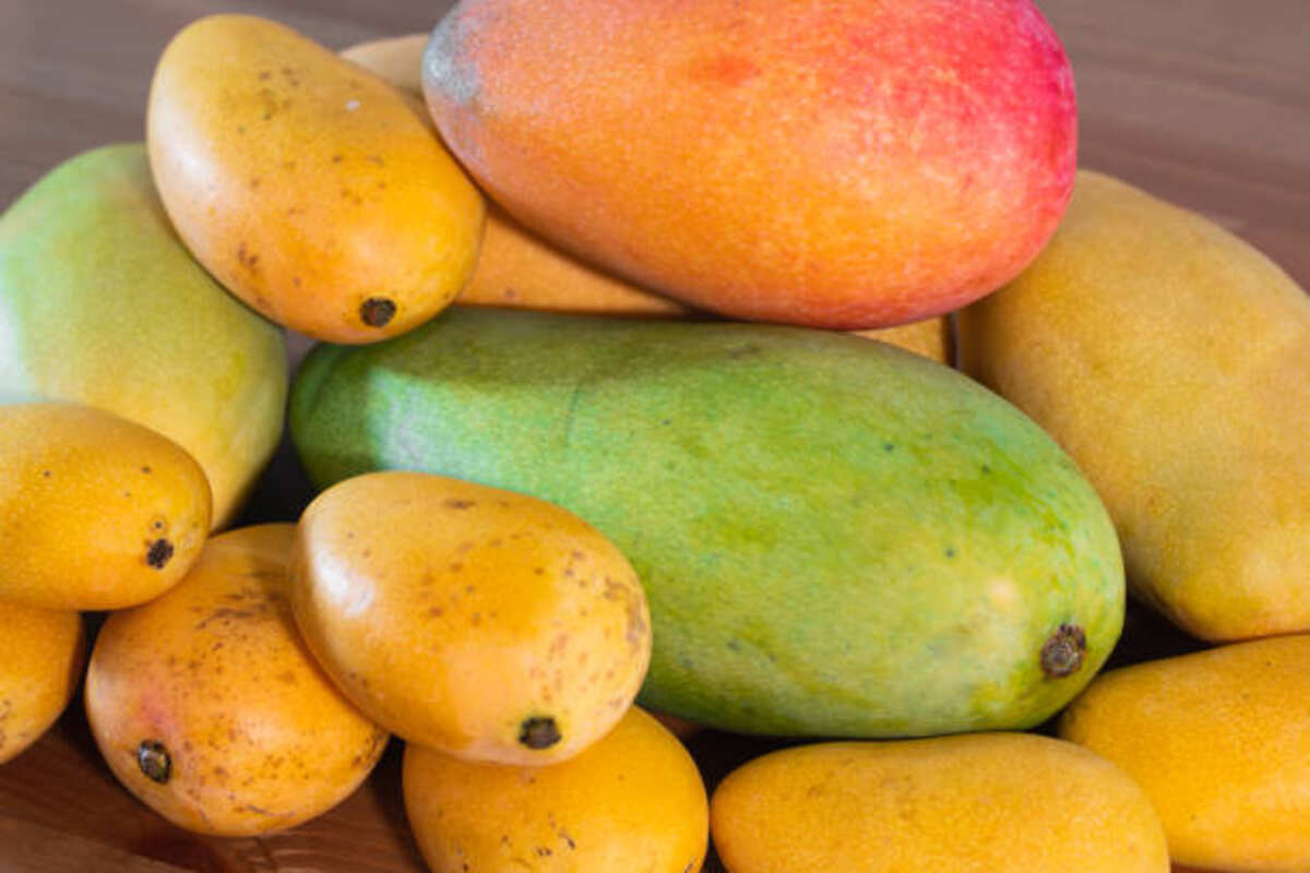 How to Identify Alphonso Mangoes